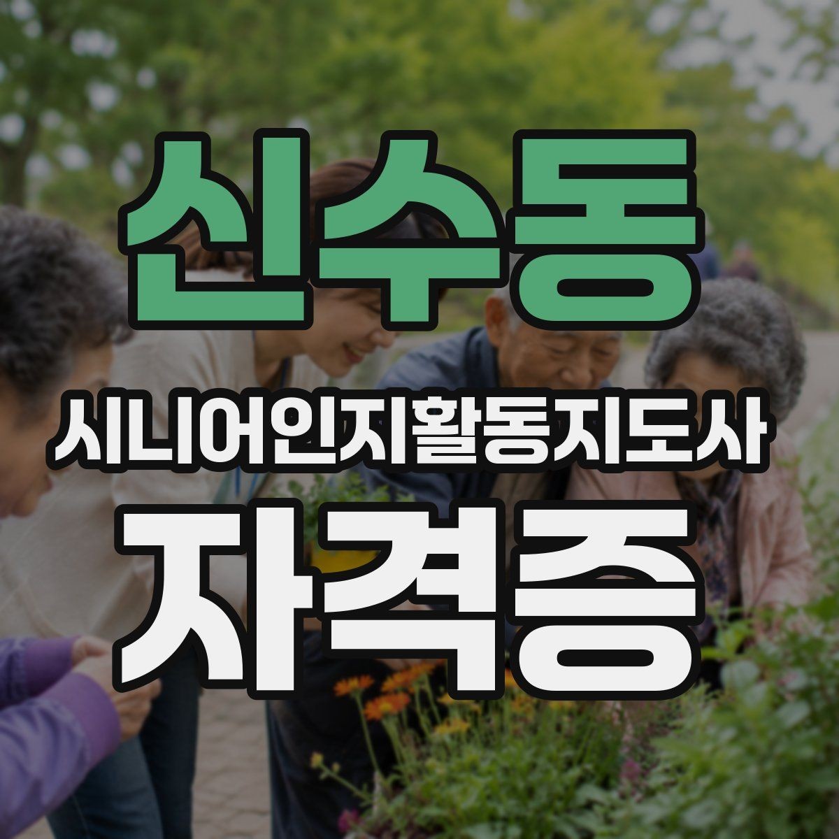 신수동 시니어인지활동지도사 자격증 오프라인 수업 선택 기준