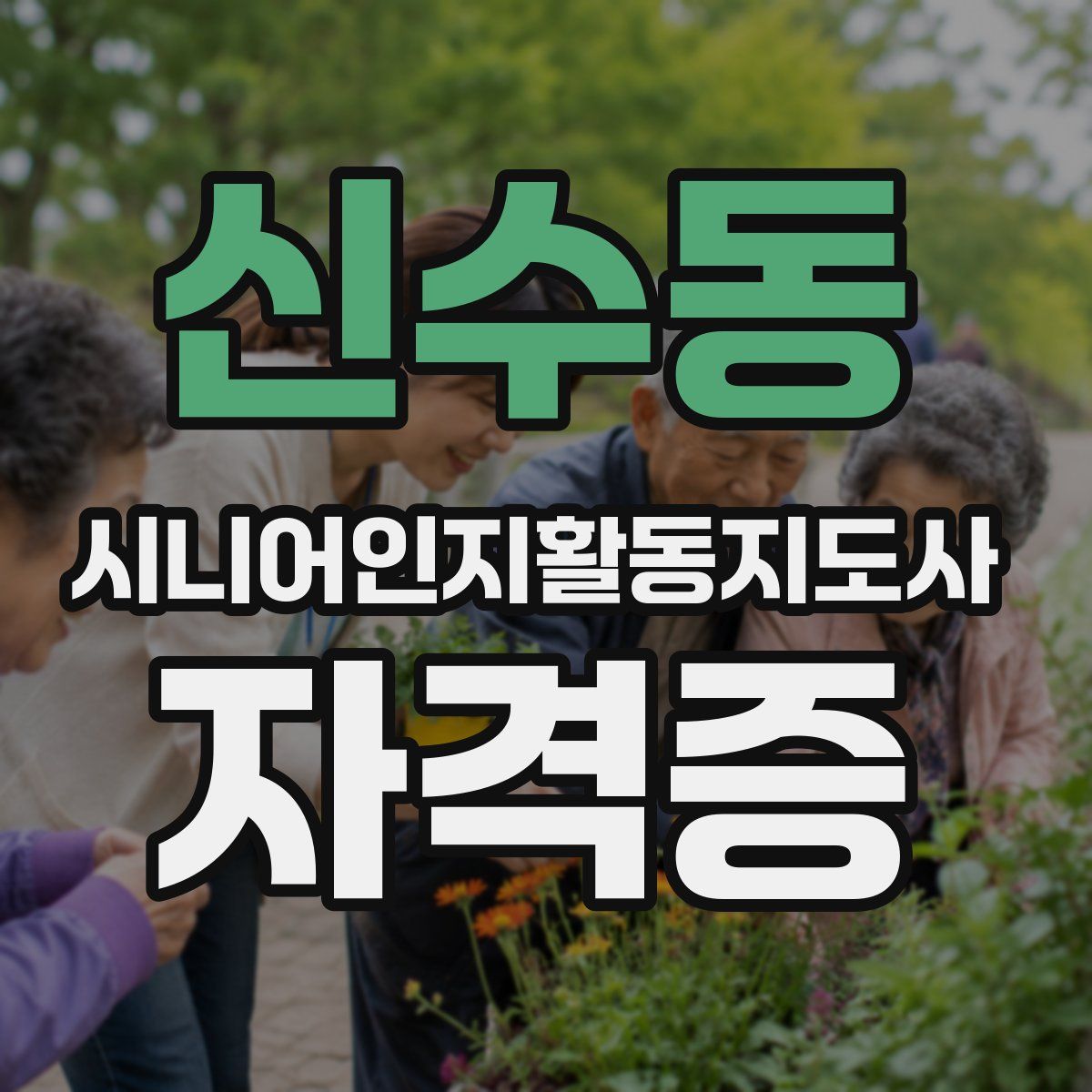 신수동 시니어인지활동지도사 자격증