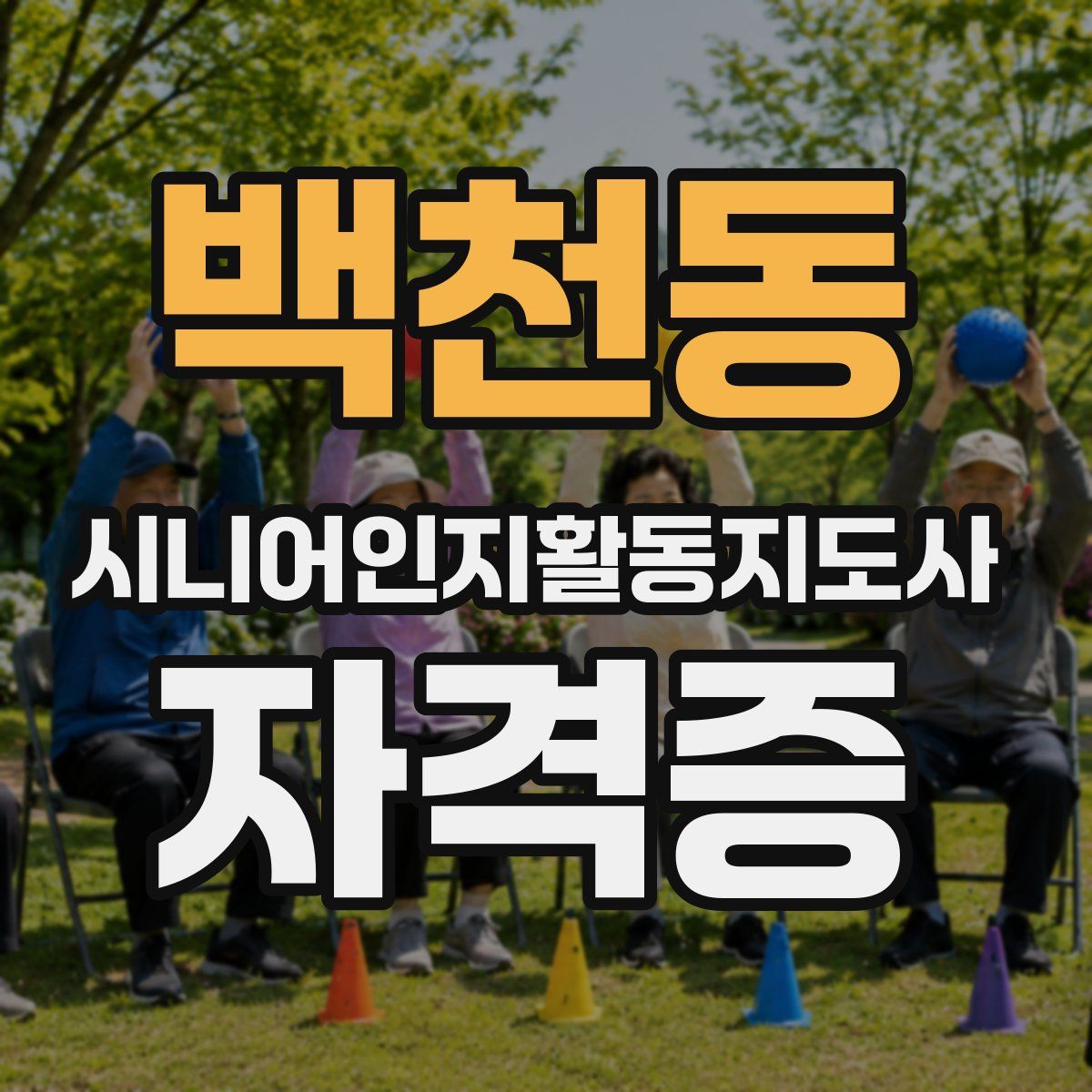 백천동 시니어인지활동지도사 자격증