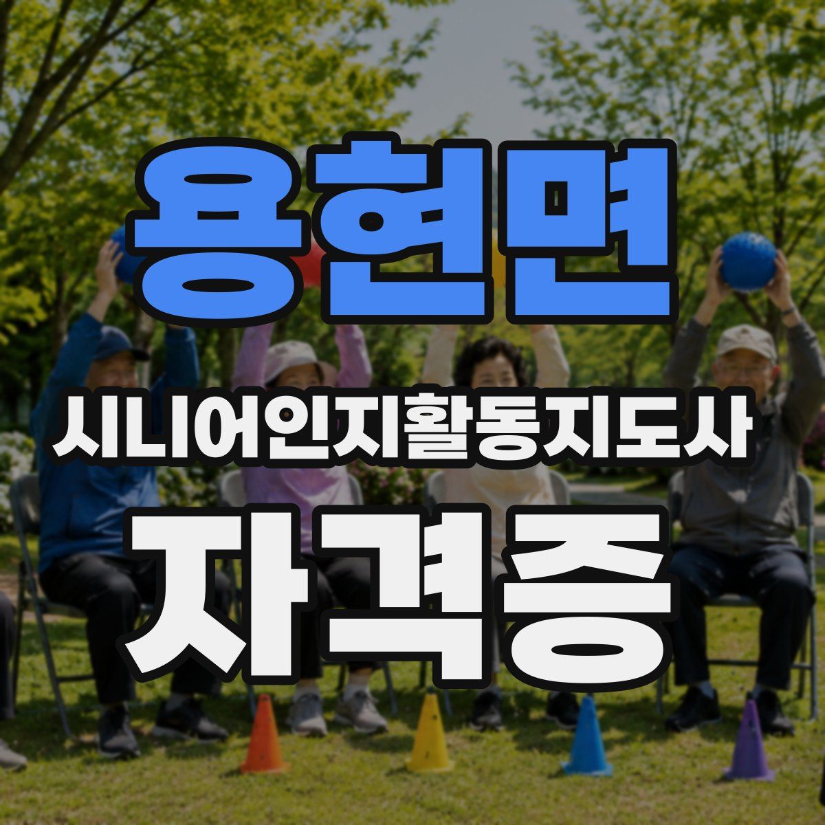 용현면 시니어인지활동지도사 자격증