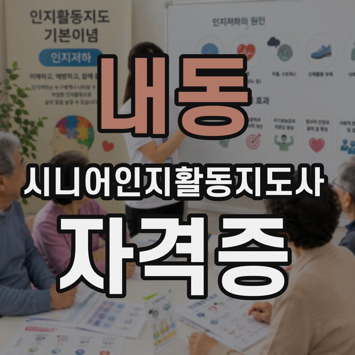 내동 시니어인지활동지도사 자격증