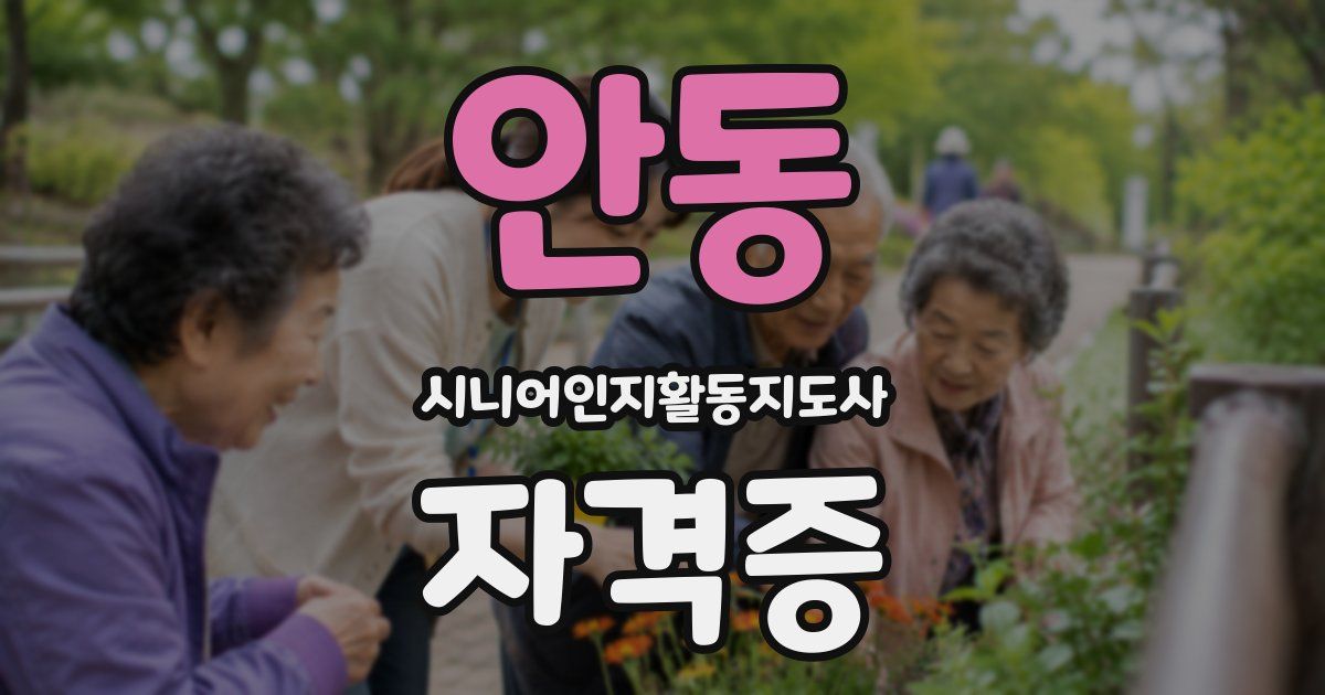 안동 시니어인지활동지도사 자격증