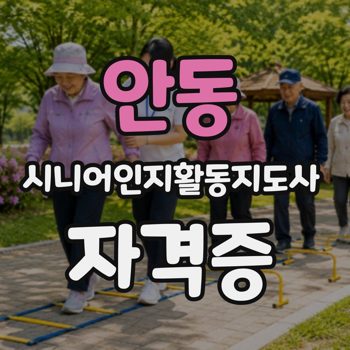 안동 시니어인지활동지도사 자격증