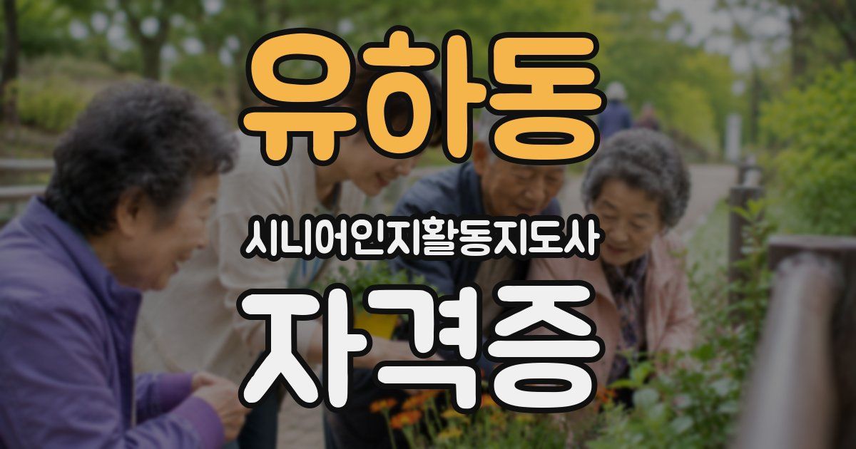 유하동 시니어인지활동지도사 자격증