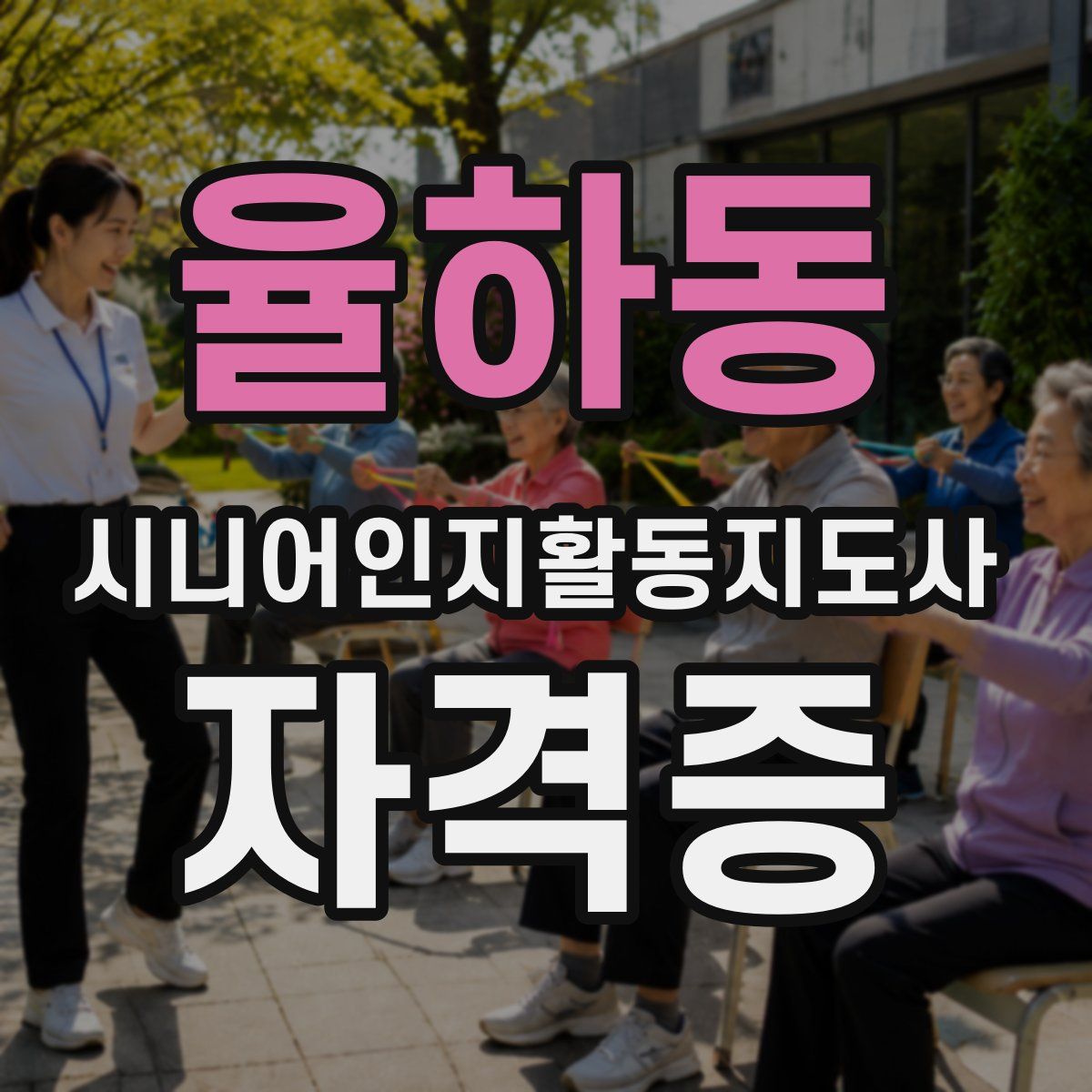 율하동 시니어인지활동지도사 자격증