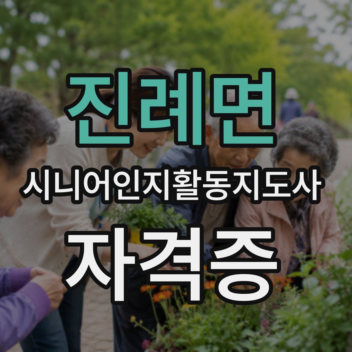 진례면 시니어인지활동지도사 자격증