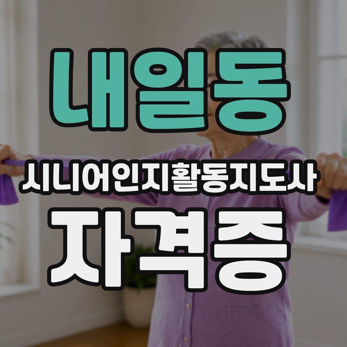 내일동 시니어인지활동지도사 자격증