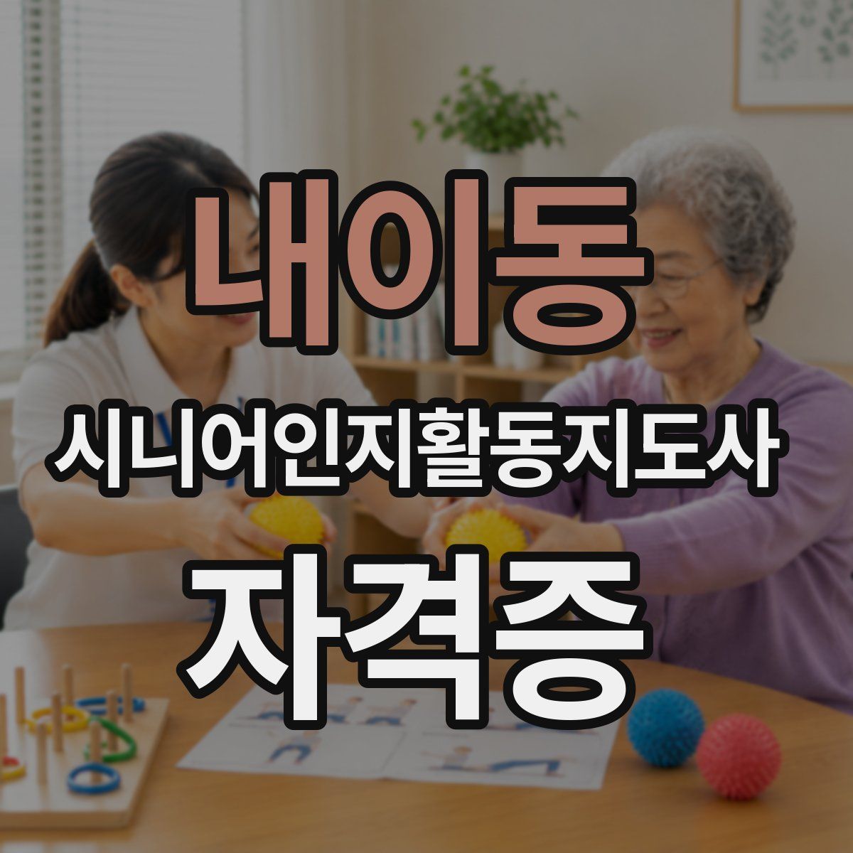 내이동 시니어인지활동지도사 자격증