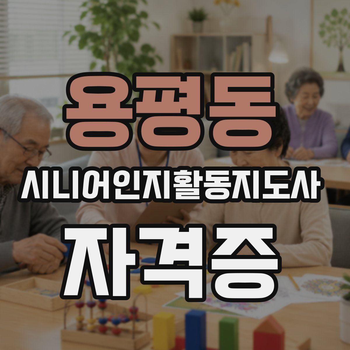 용평동 시니어인지활동지도사 자격증