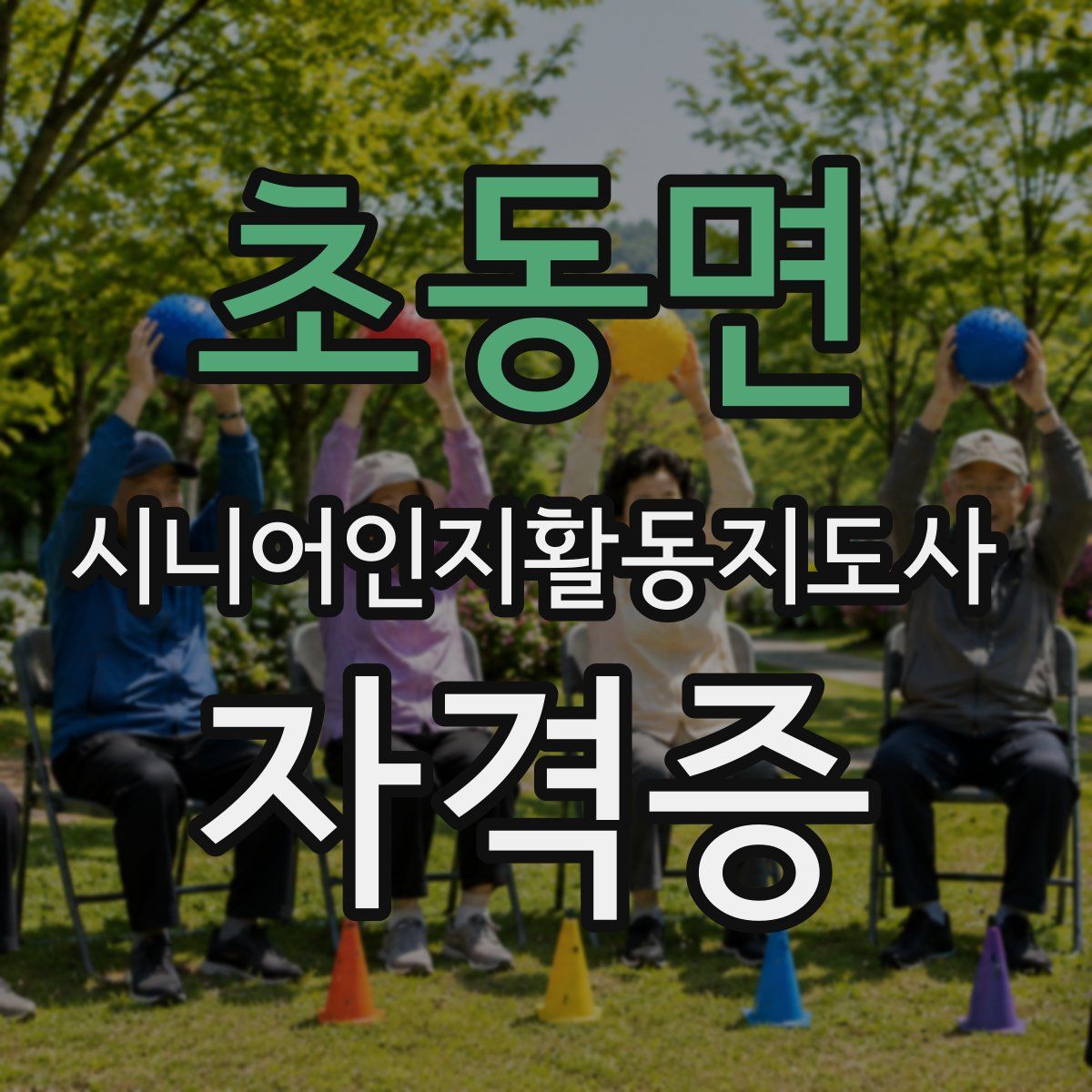 초동면 시니어인지활동지도사 자격증