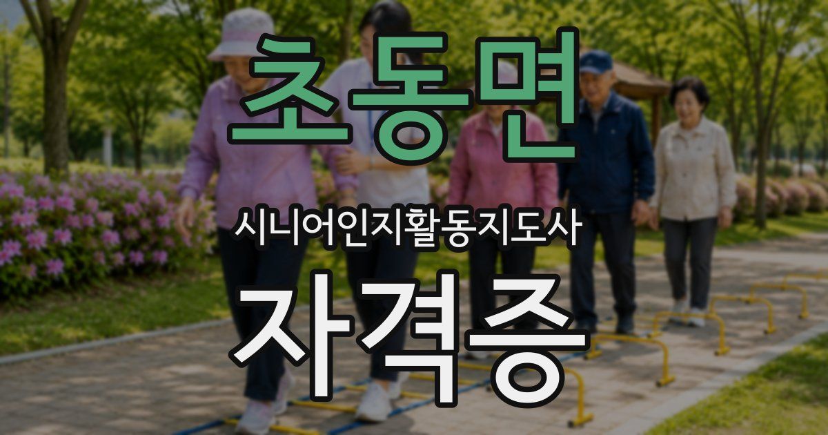 초동면 시니어인지활동지도사 자격증