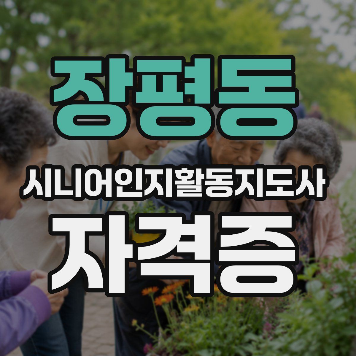 장평동 시니어인지활동지도사 자격증