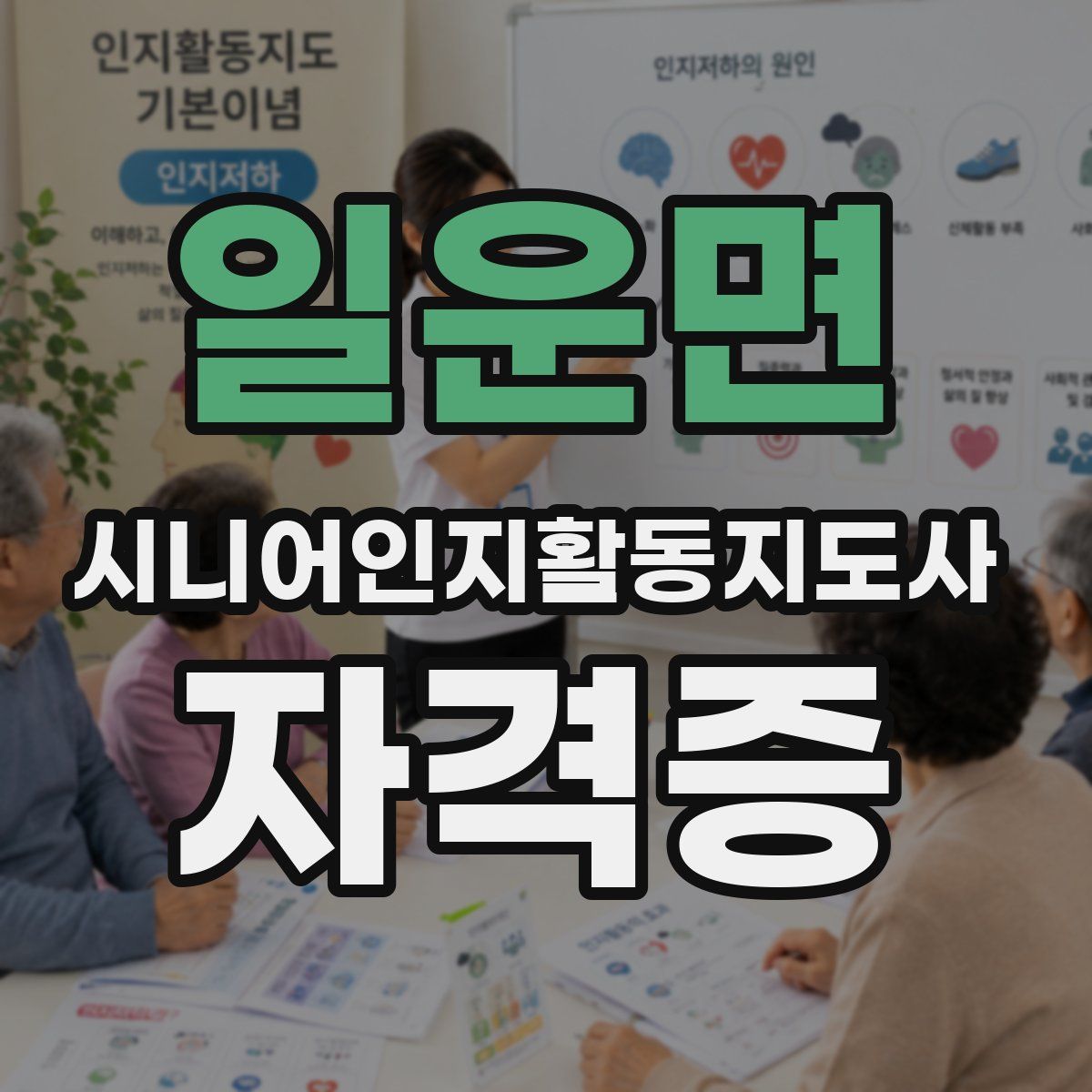 일운면 시니어인지활동지도사 자격증