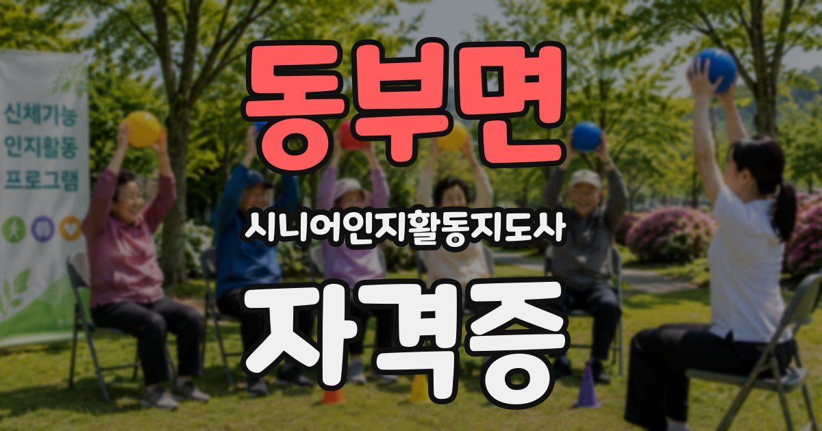 동부면 시니어인지활동지도사 자격증