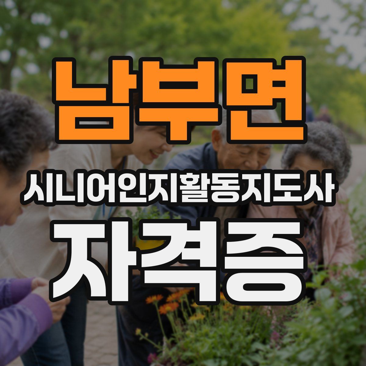 남부면 시니어인지활동지도사 자격증