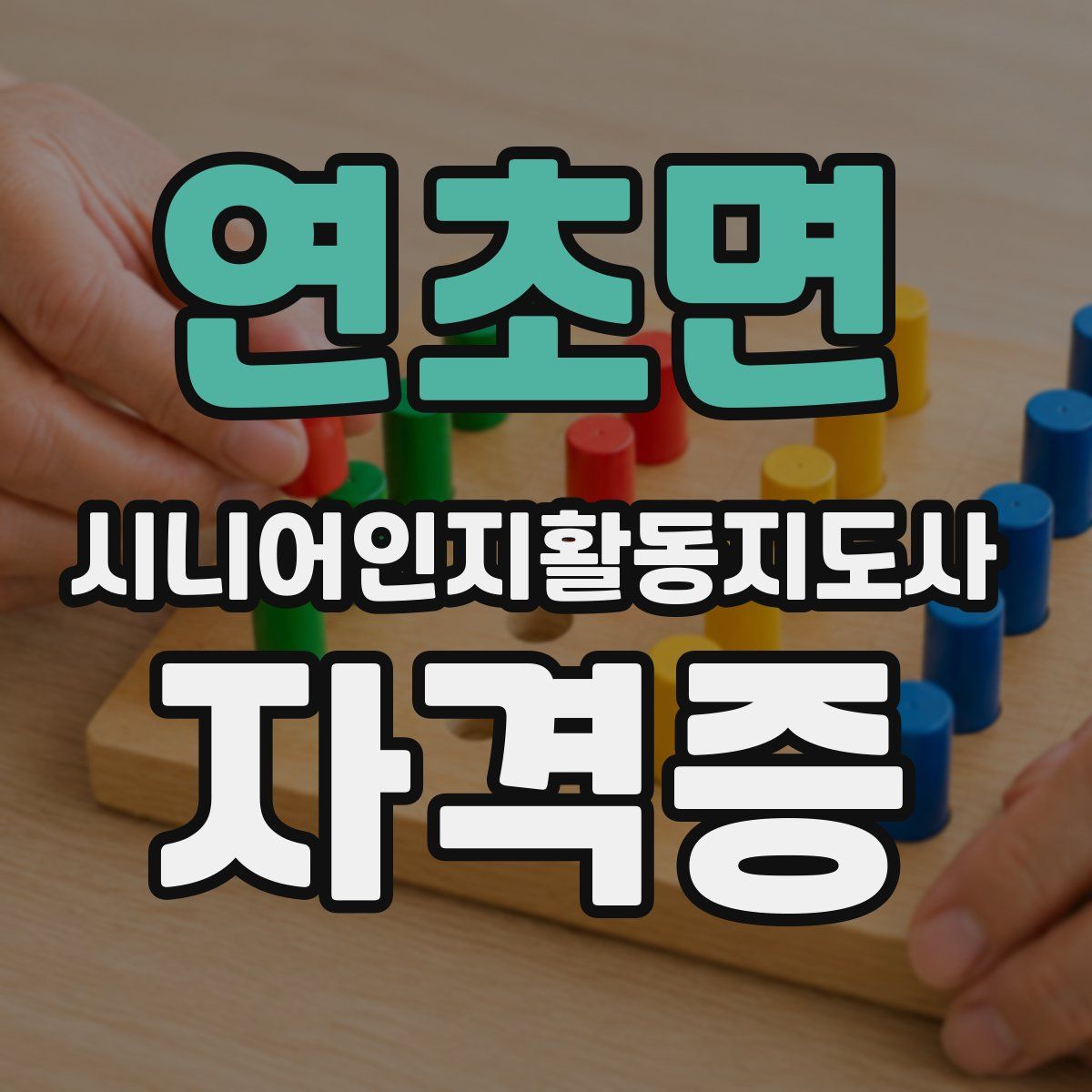 연초면 시니어인지활동지도사 자격증
