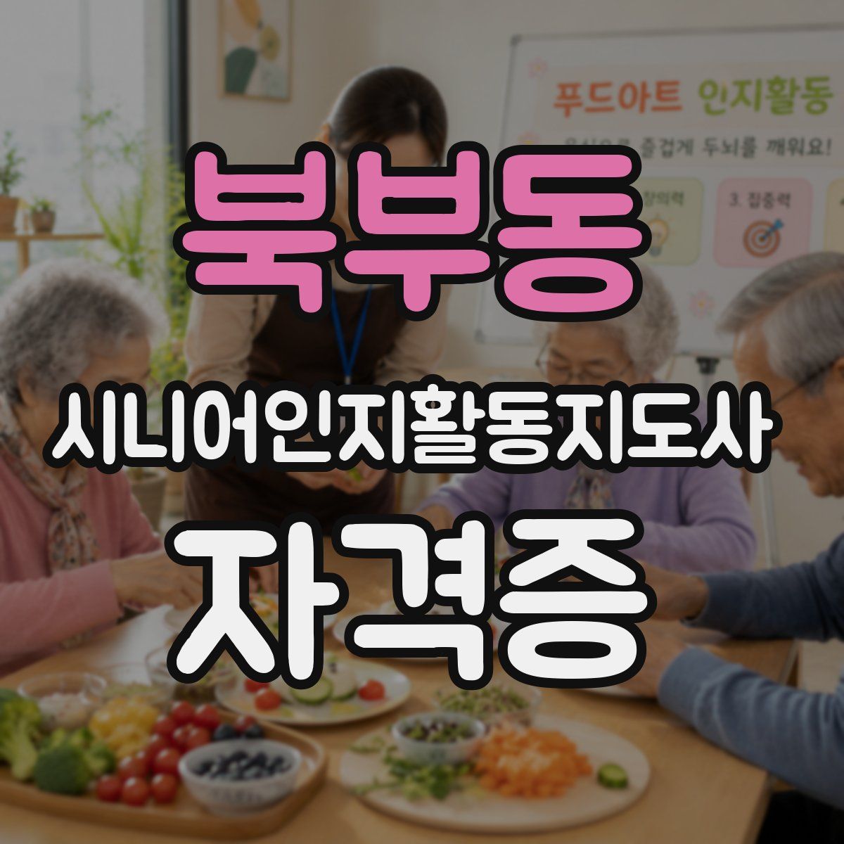 북부동 시니어인지활동지도사 자격증