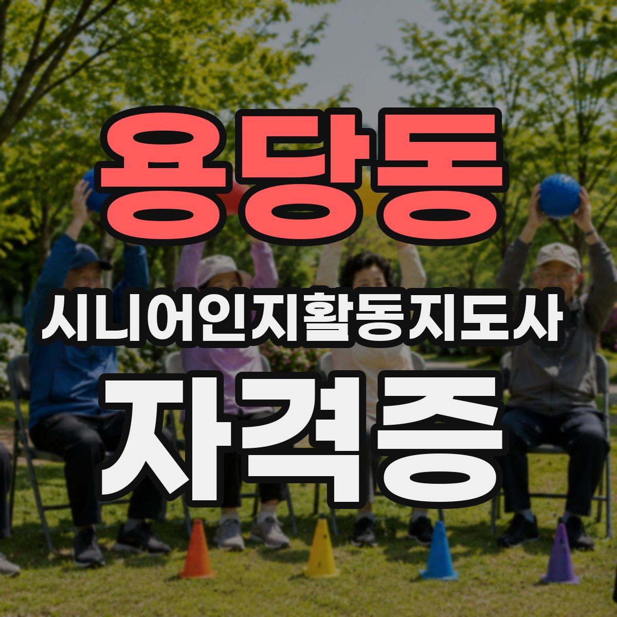 용당동 시니어인지활동지도사 자격증