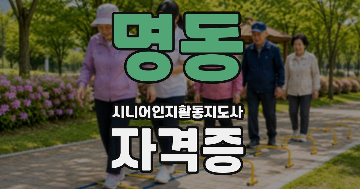 명동 시니어인지활동지도사 자격증