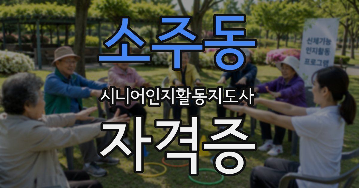 소주동 시니어인지활동지도사 자격증