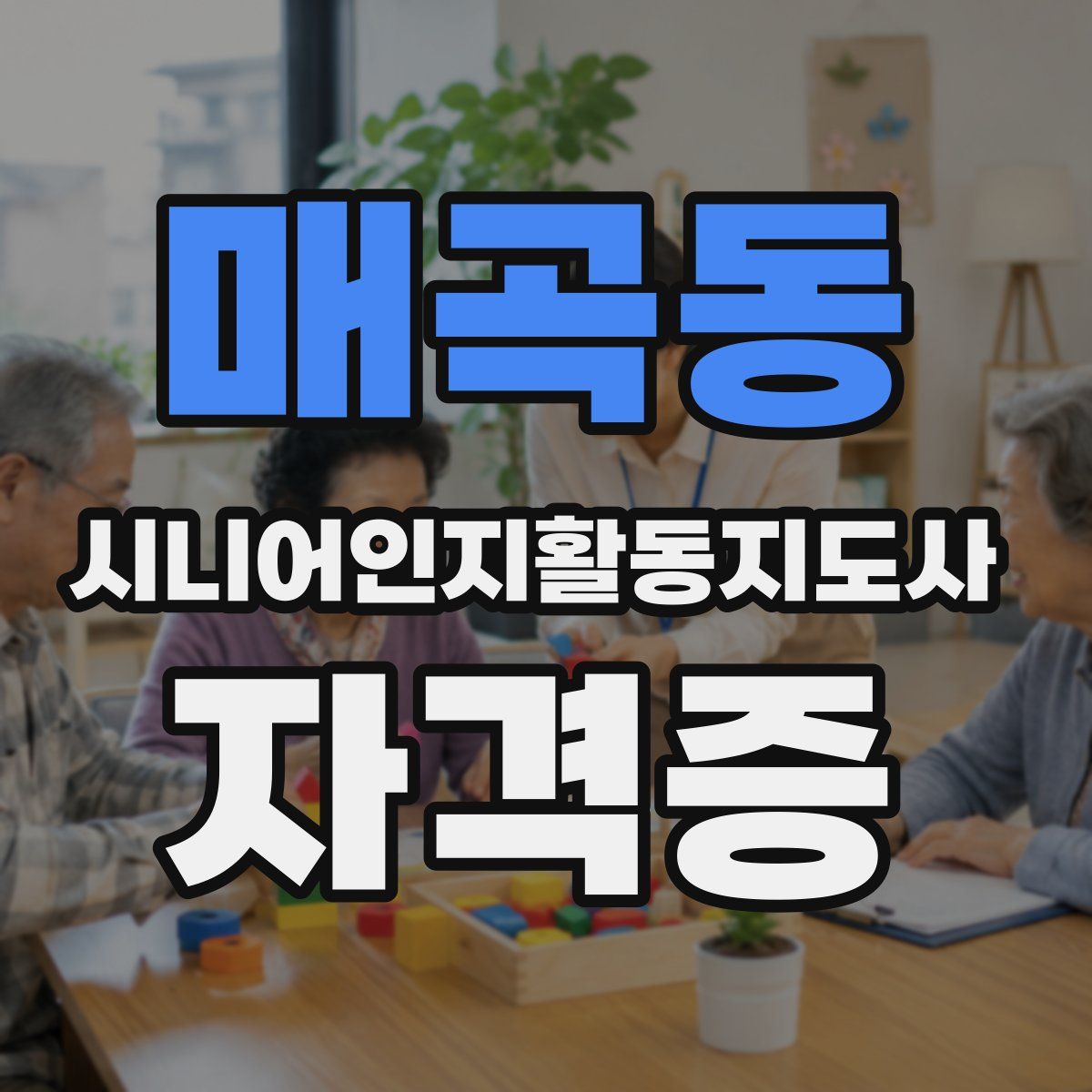 매곡동 시니어인지활동지도사 자격증