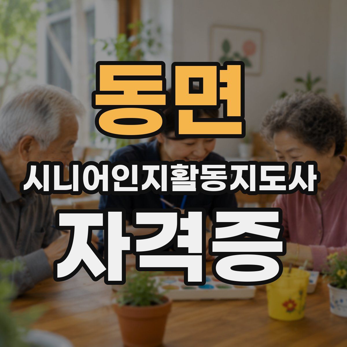동면 시니어인지활동지도사 자격증