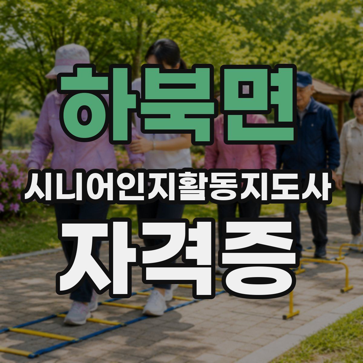 하북면 시니어인지활동지도사 자격증