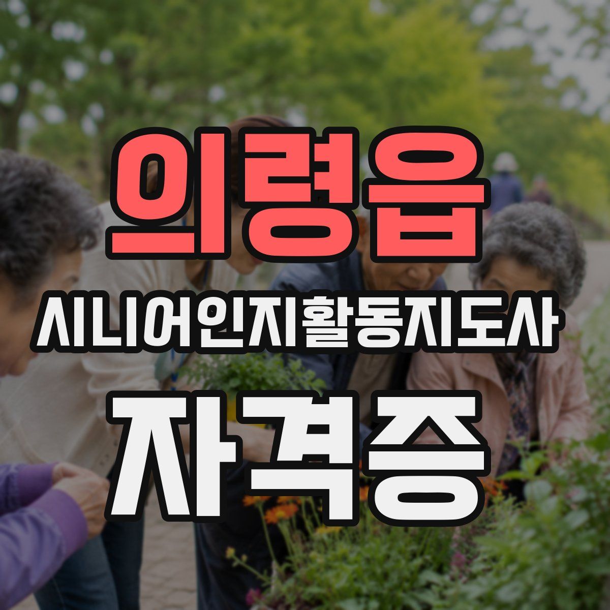 의령읍 시니어인지활동지도사 자격증