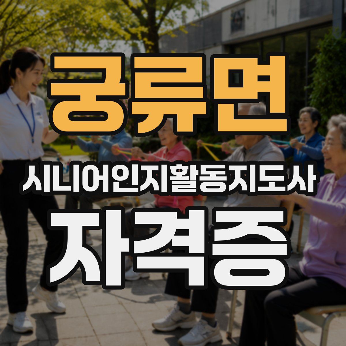궁류면 시니어인지활동지도사 자격증