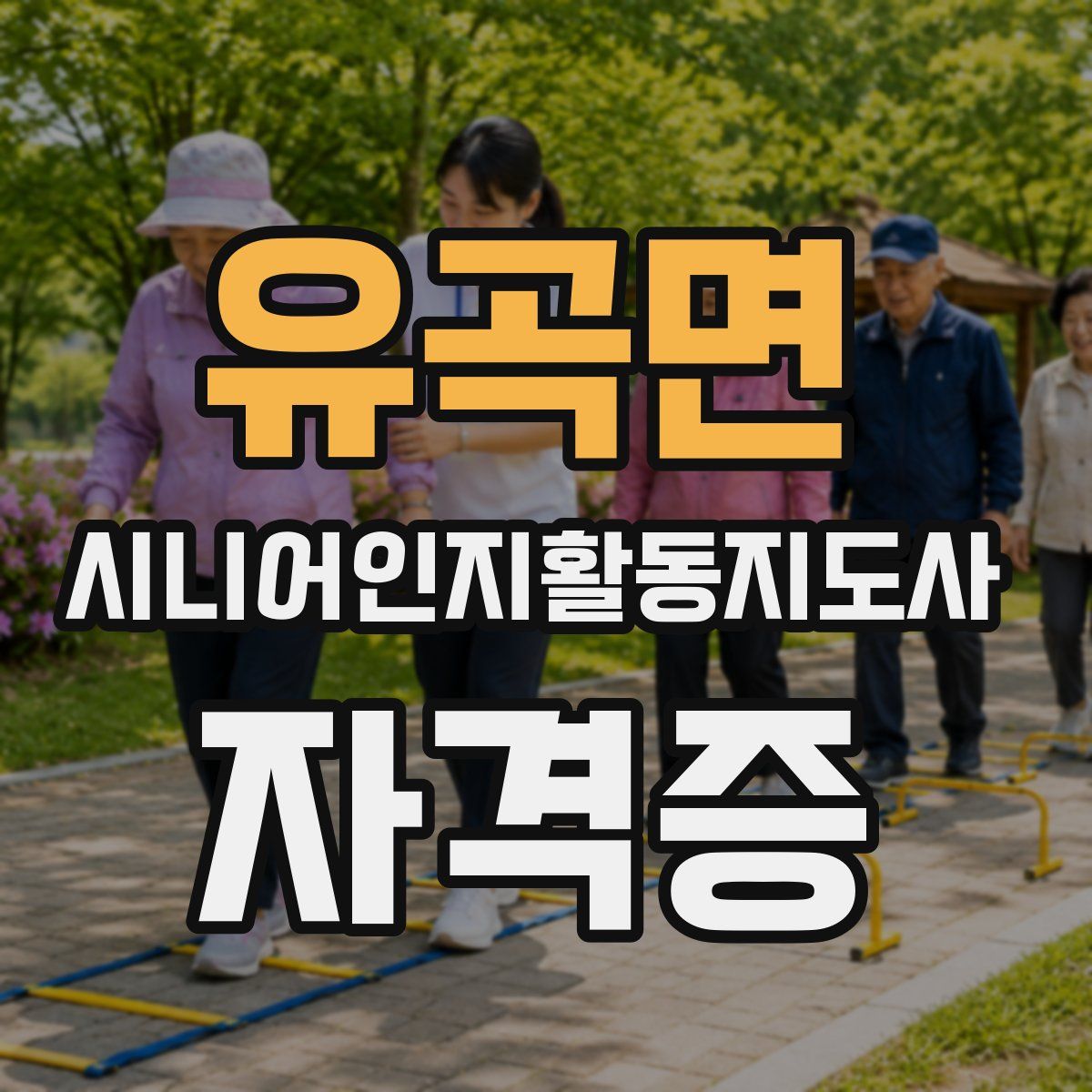 유곡면 시니어인지활동지도사 자격증