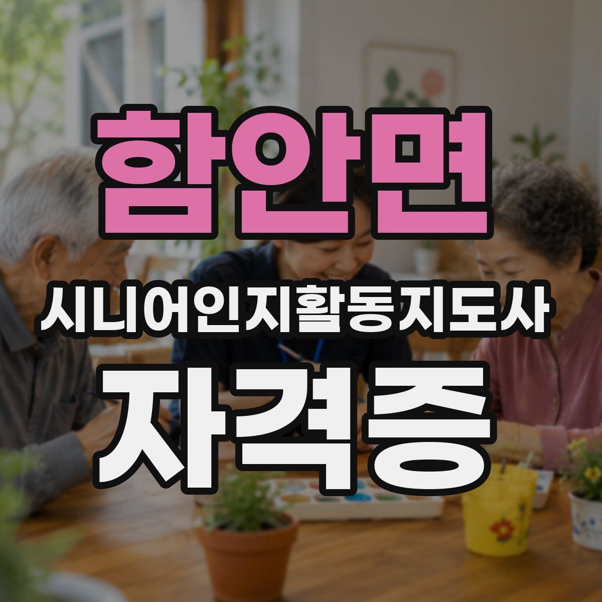 함안면 시니어인지활동지도사 자격증