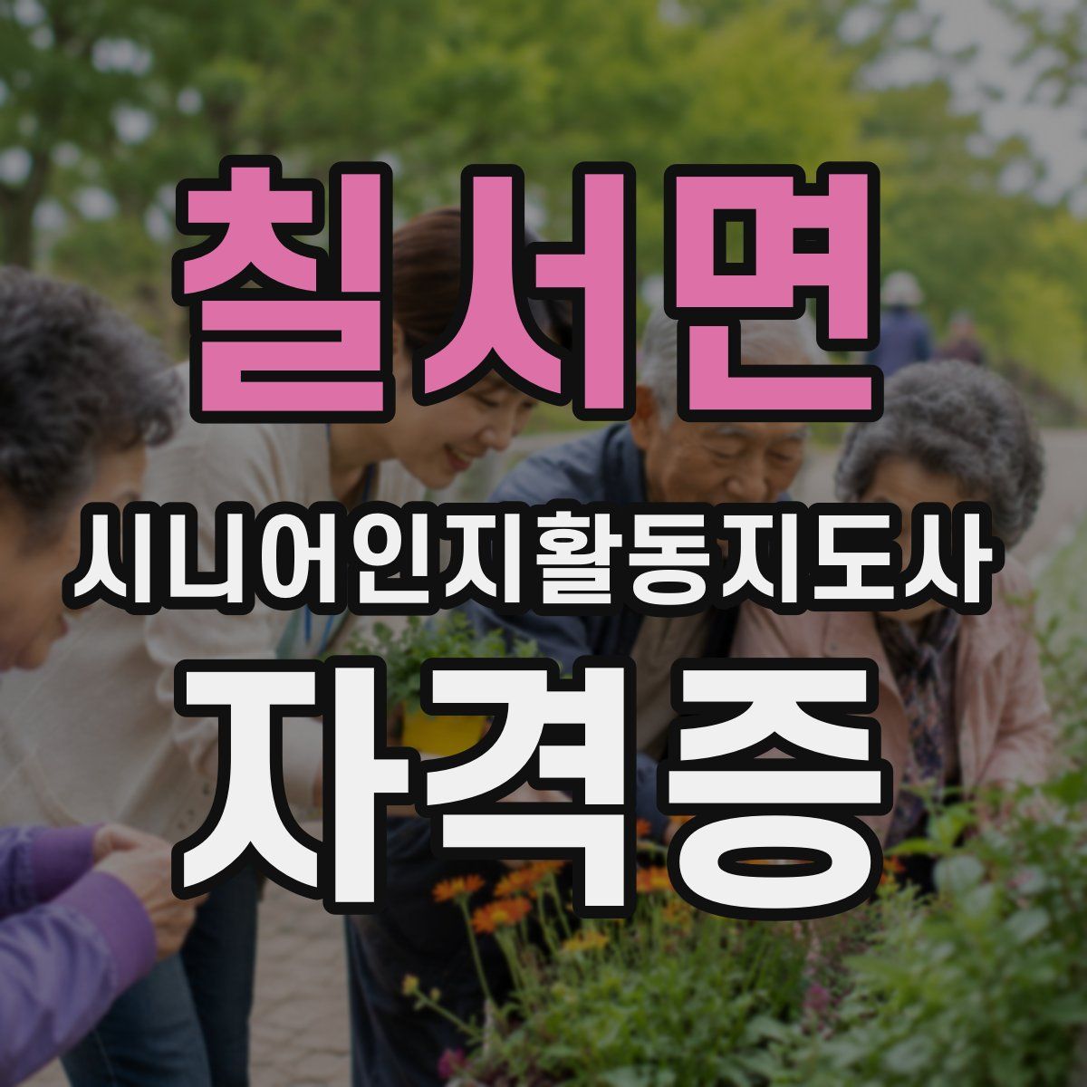 칠서면 시니어인지활동지도사 자격증