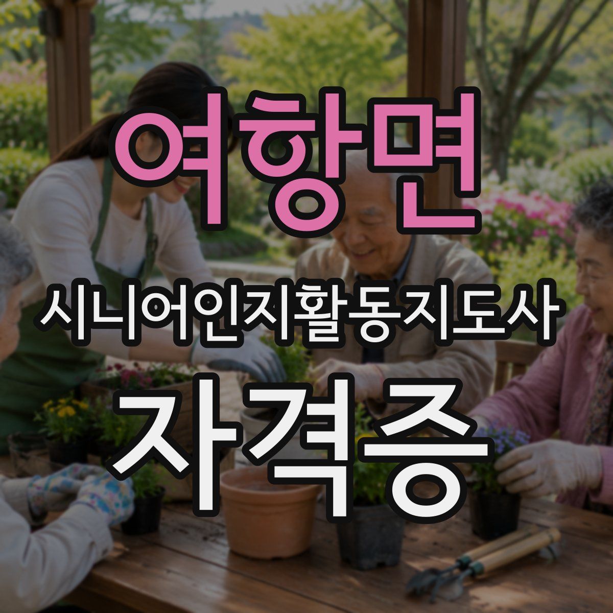 여항면 시니어인지활동지도사 자격증