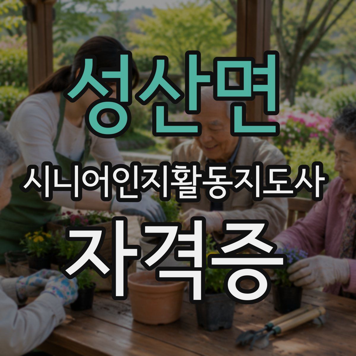 성산면 시니어인지활동지도사 자격증