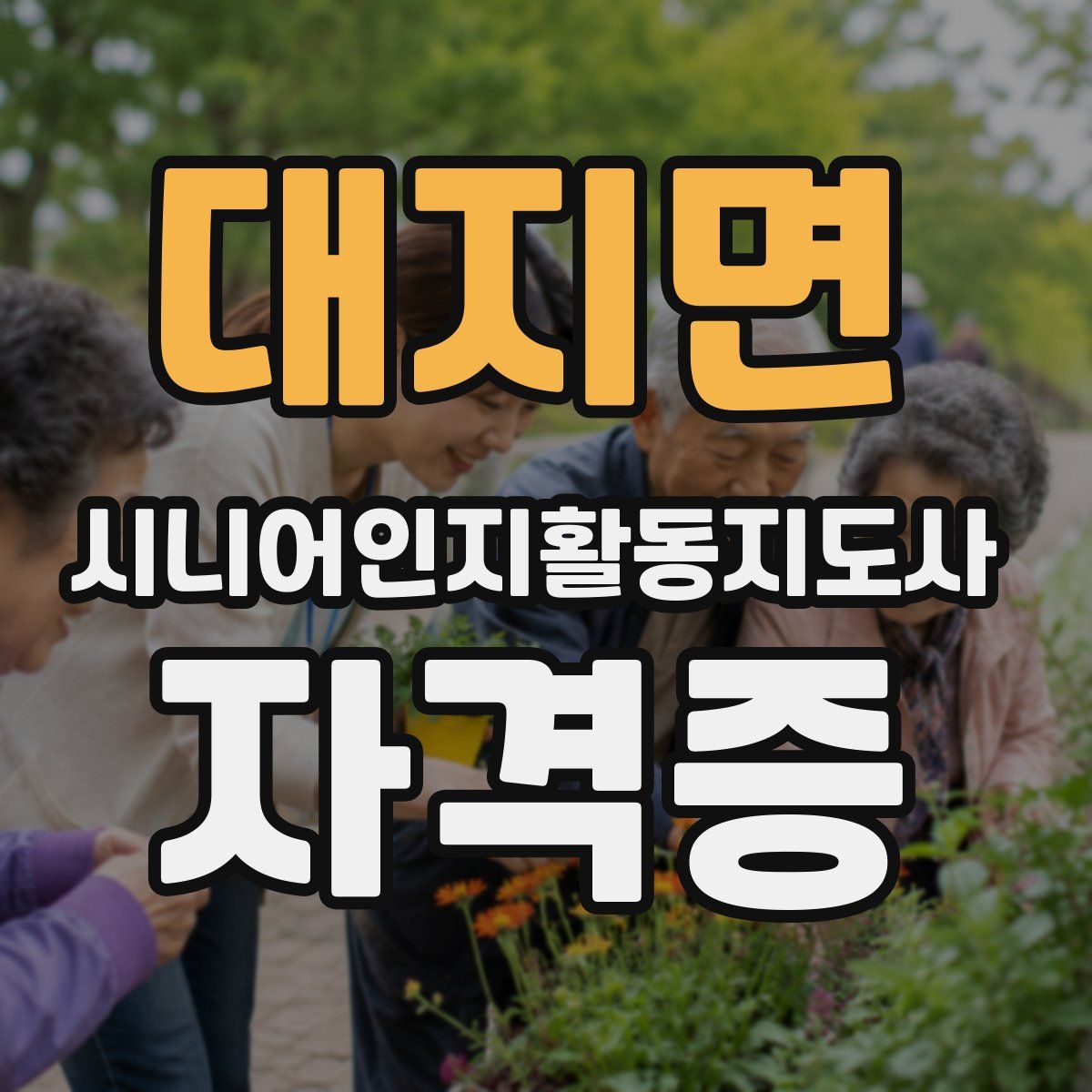 대지면 시니어인지활동지도사 자격증