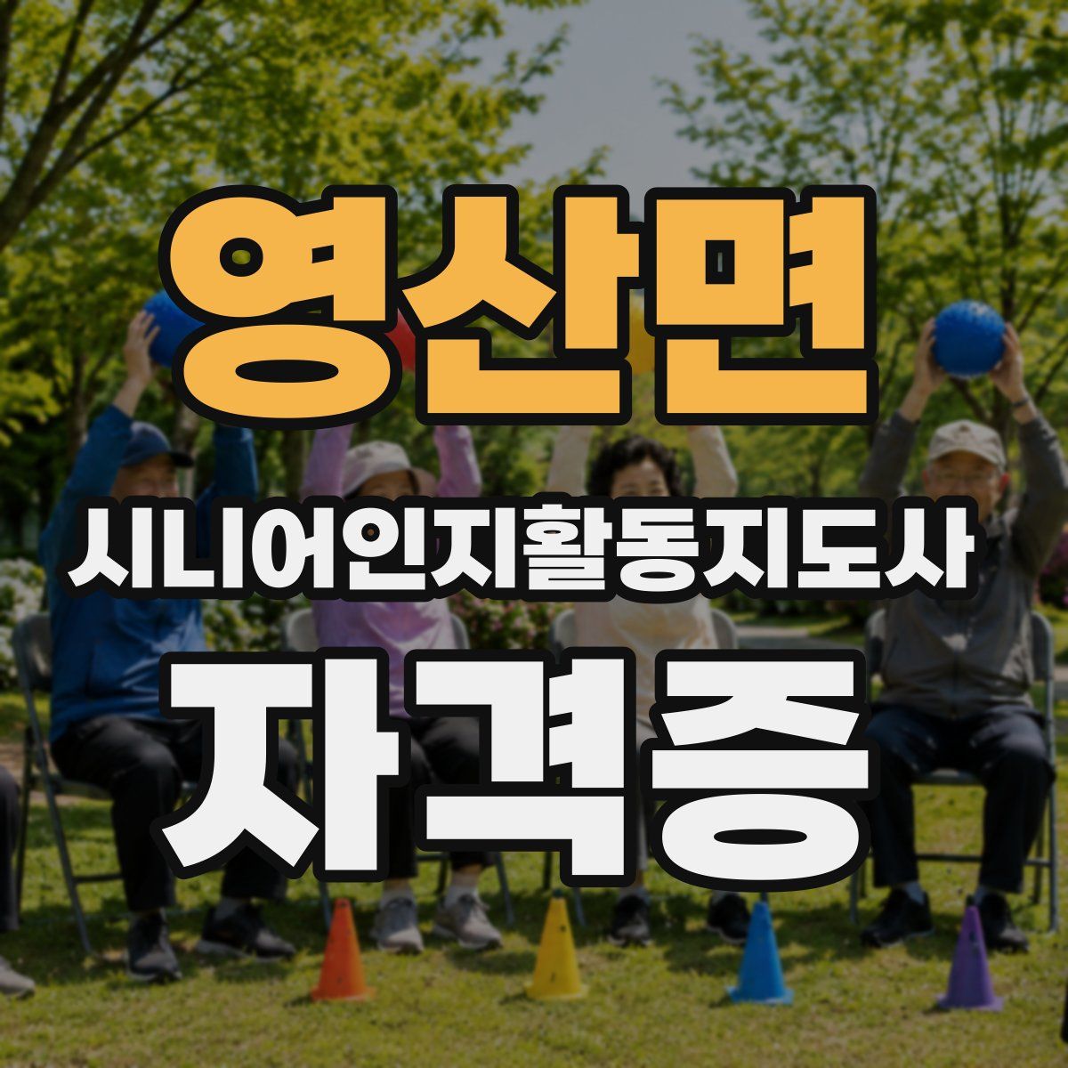 영산면 시니어인지활동지도사 자격증