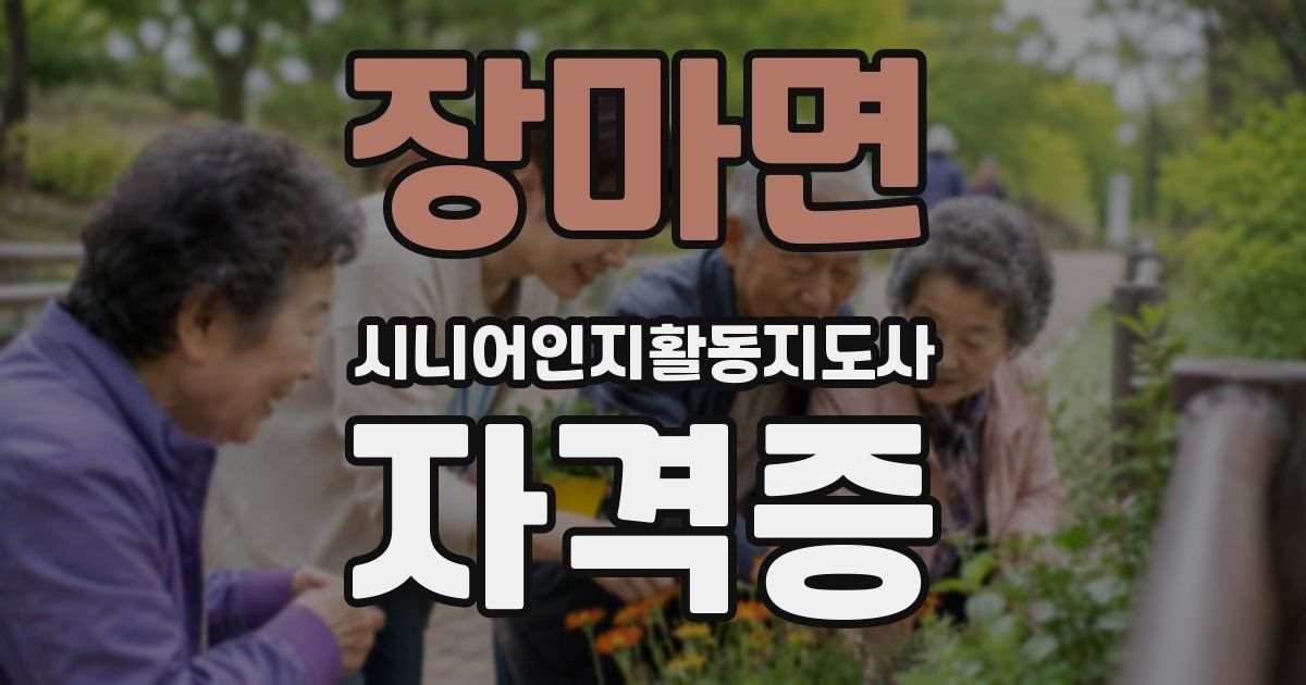 장마면 시니어인지활동지도사 자격증