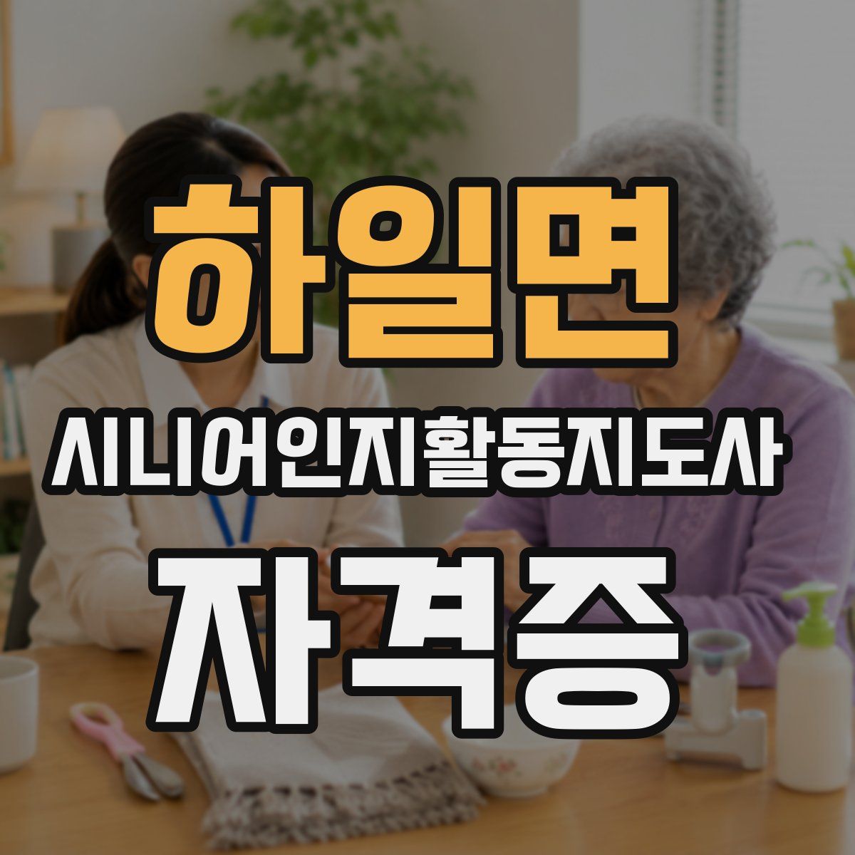 하일면 시니어인지활동지도사 자격증