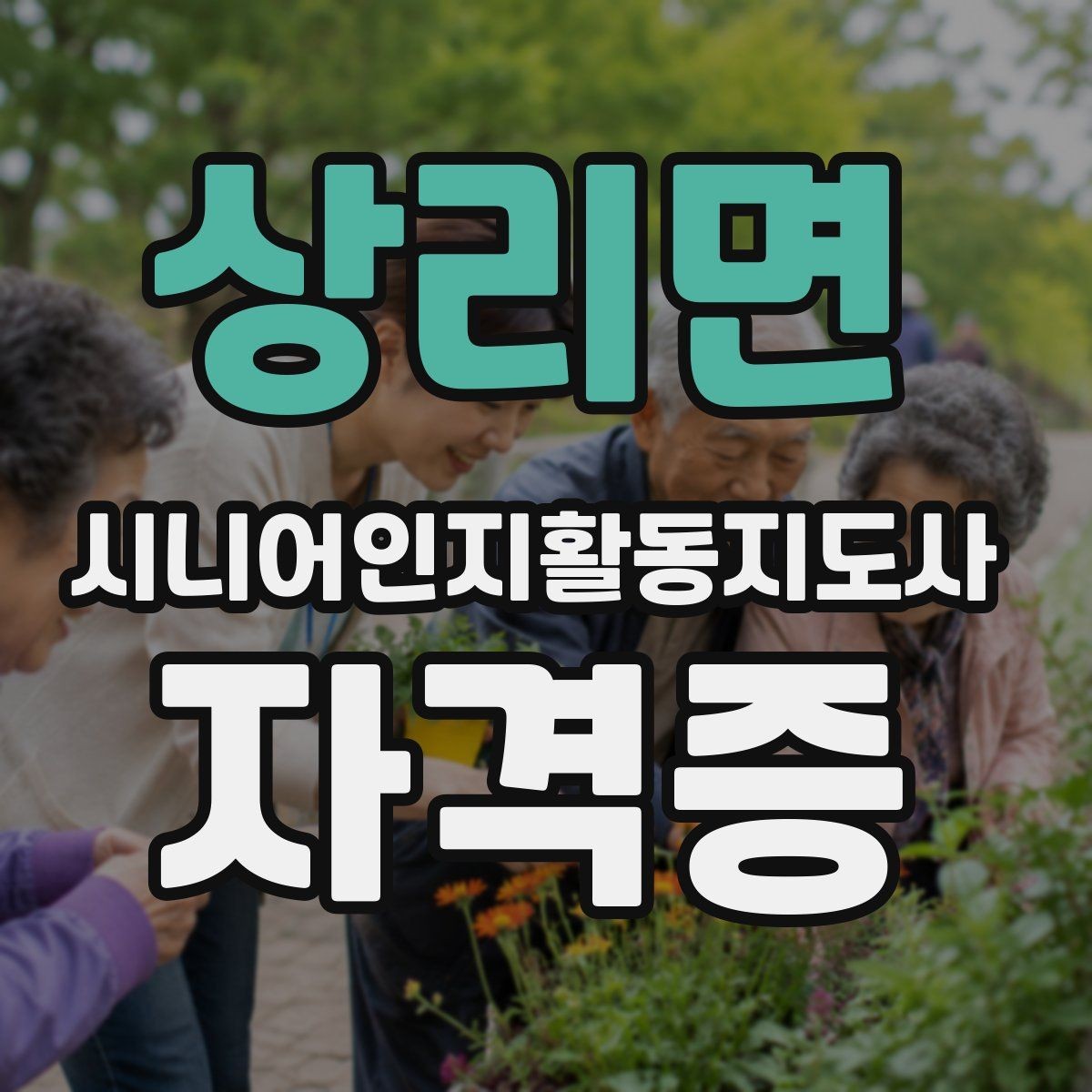 상리면 시니어인지활동지도사 자격증 수요가 늘어나는 이유