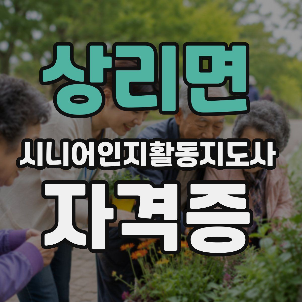 상리면 시니어인지활동지도사 자격증