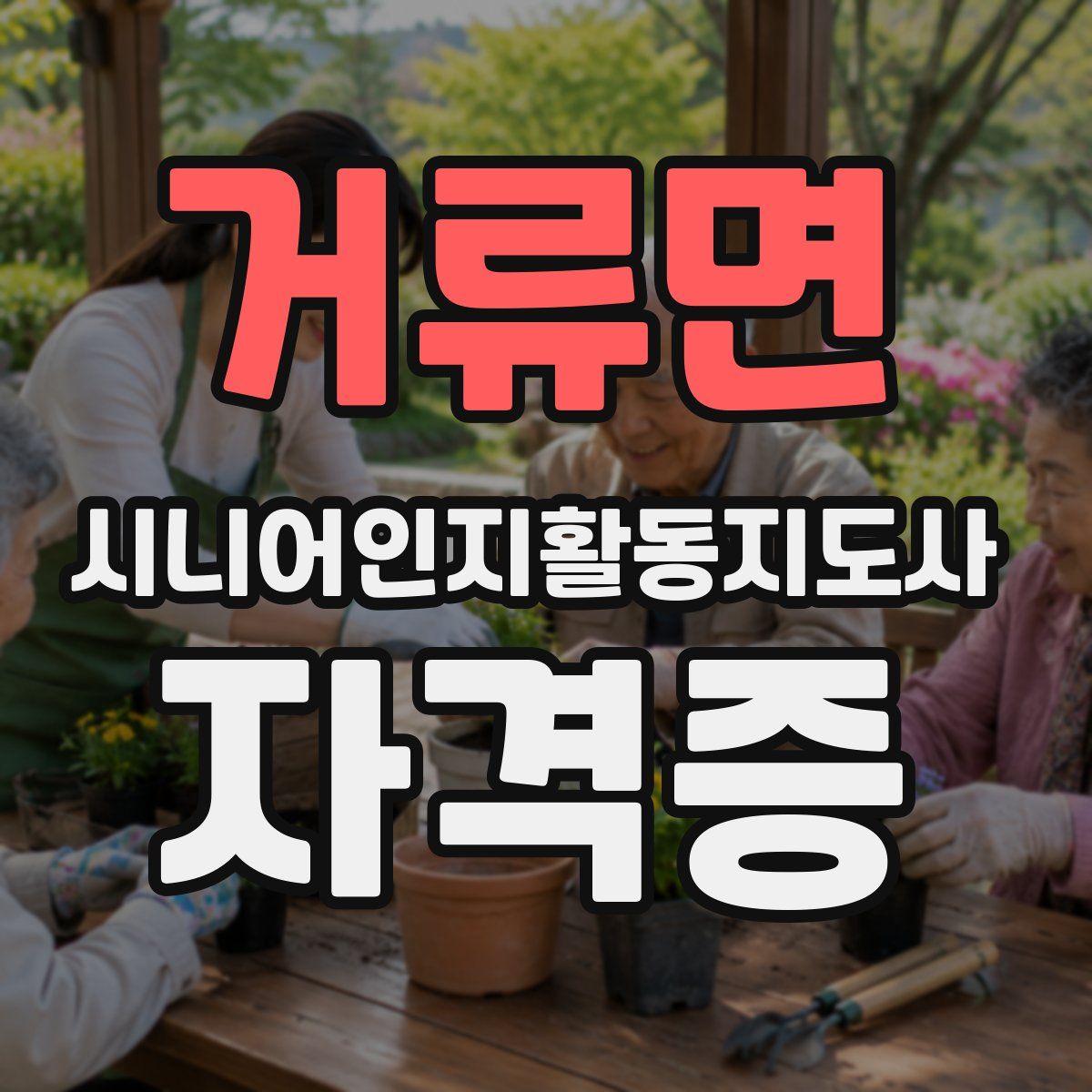 거류면 시니어인지활동지도사 자격증