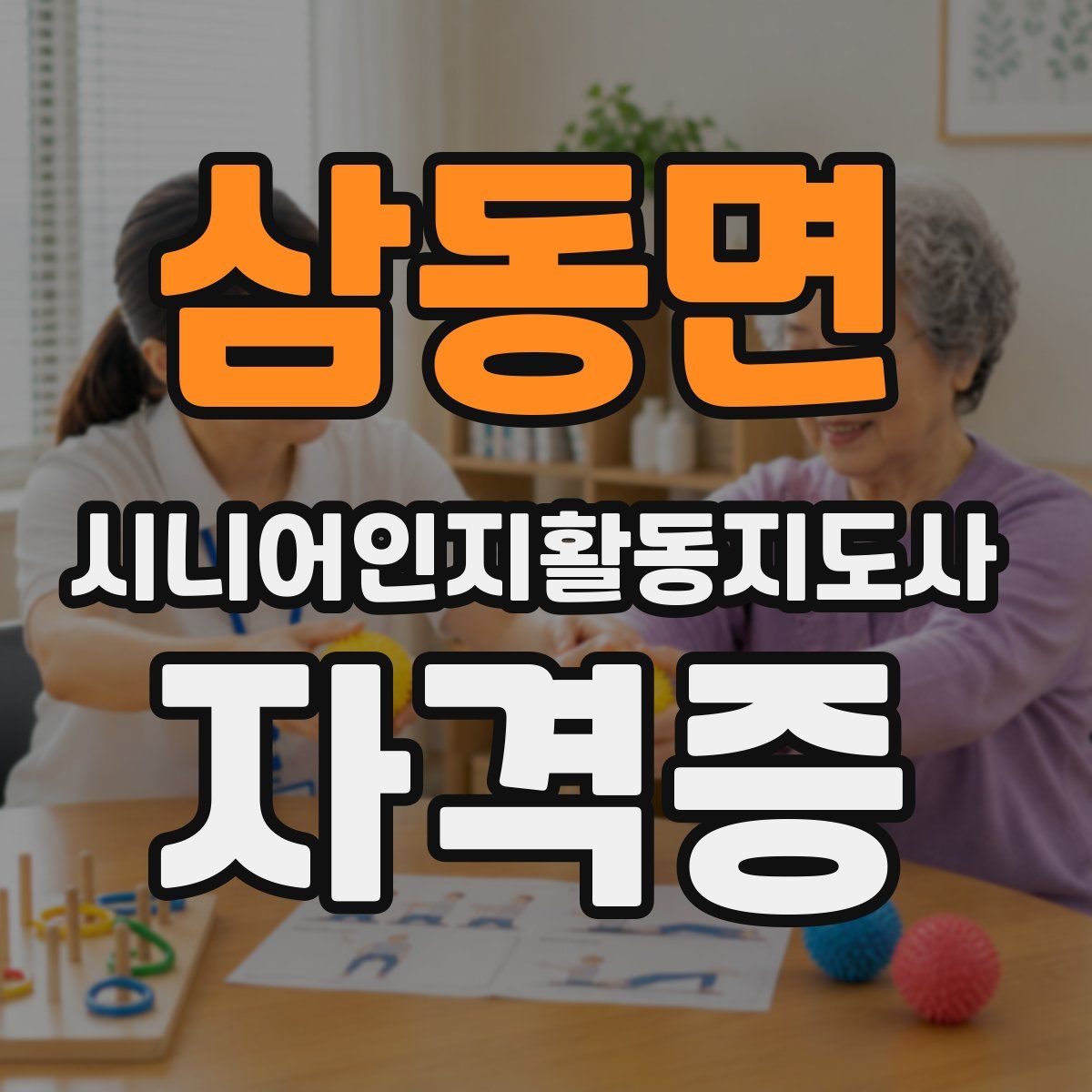 삼동면 시니어인지활동지도사 자격증