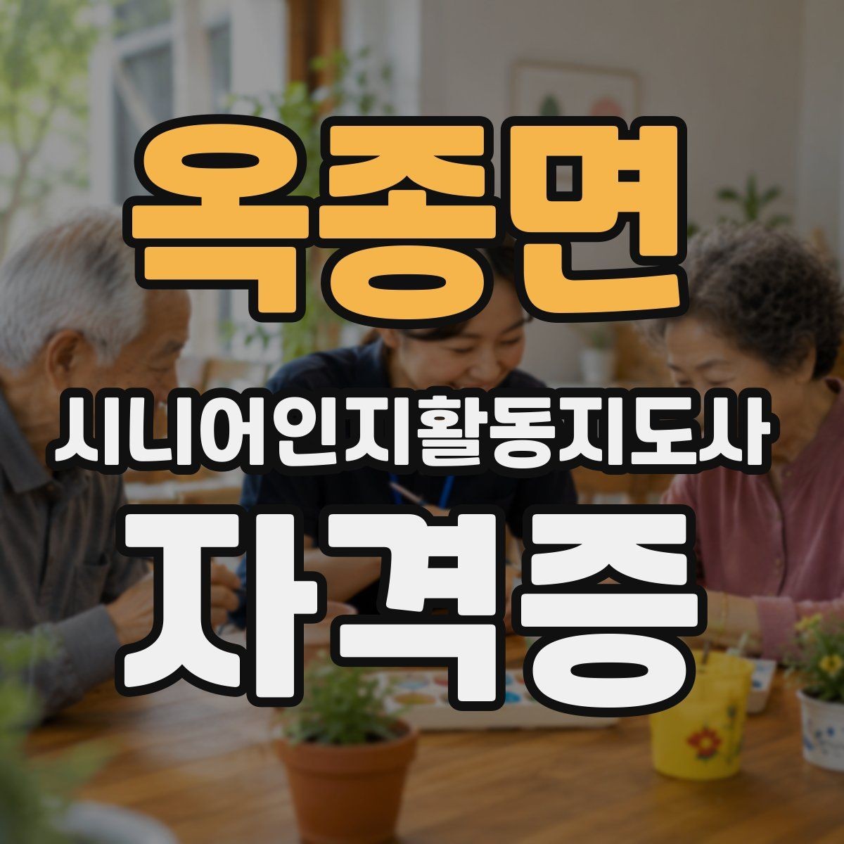 옥종면 시니어인지활동지도사 자격증 준비 전 알아야 할 기본 정보