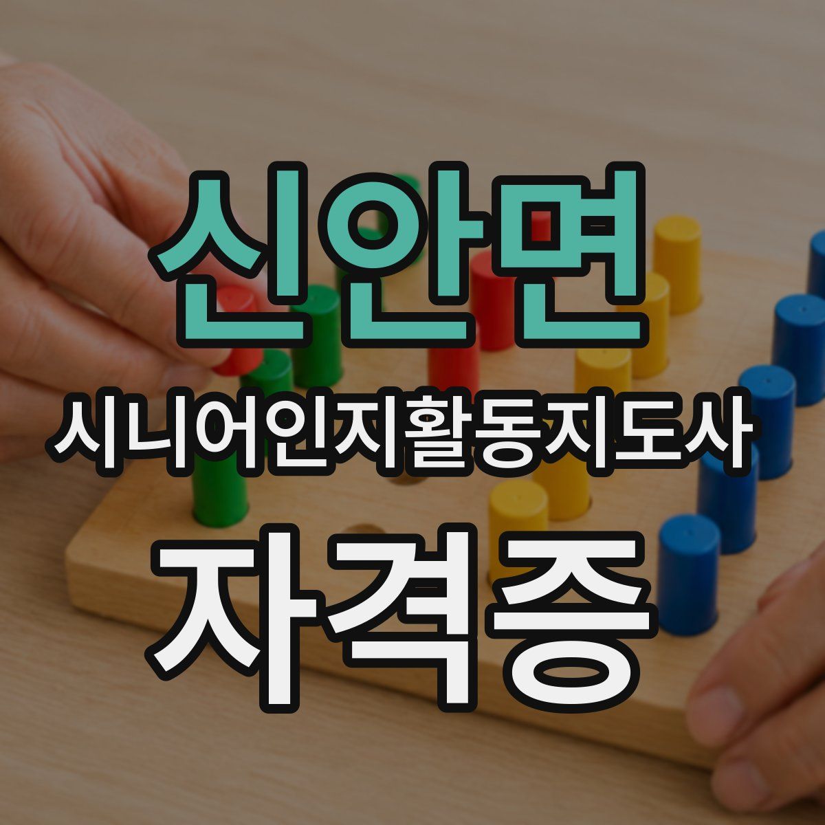 신안면 시니어인지활동지도사 자격증
