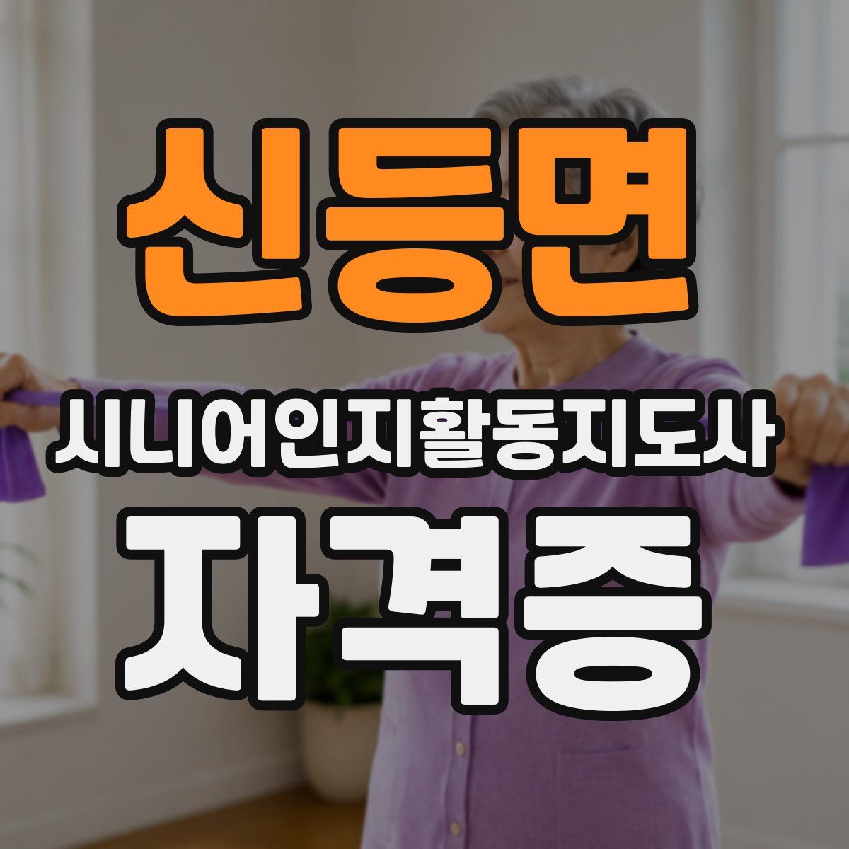 신등면 시니어인지활동지도사 자격증