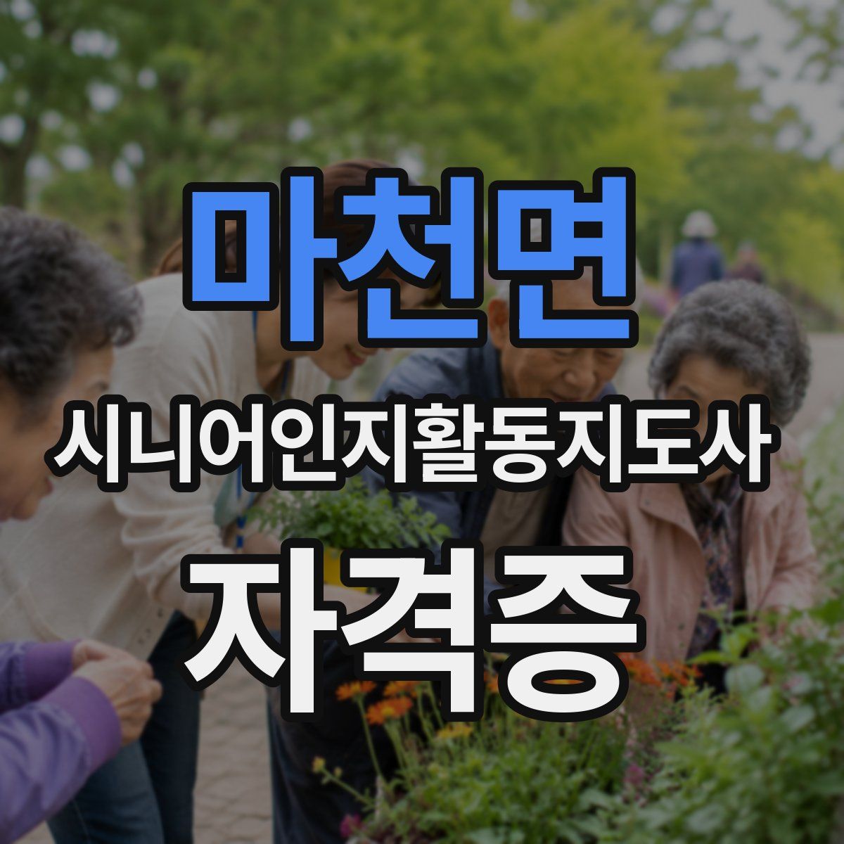 마천면 시니어인지활동지도사 자격증