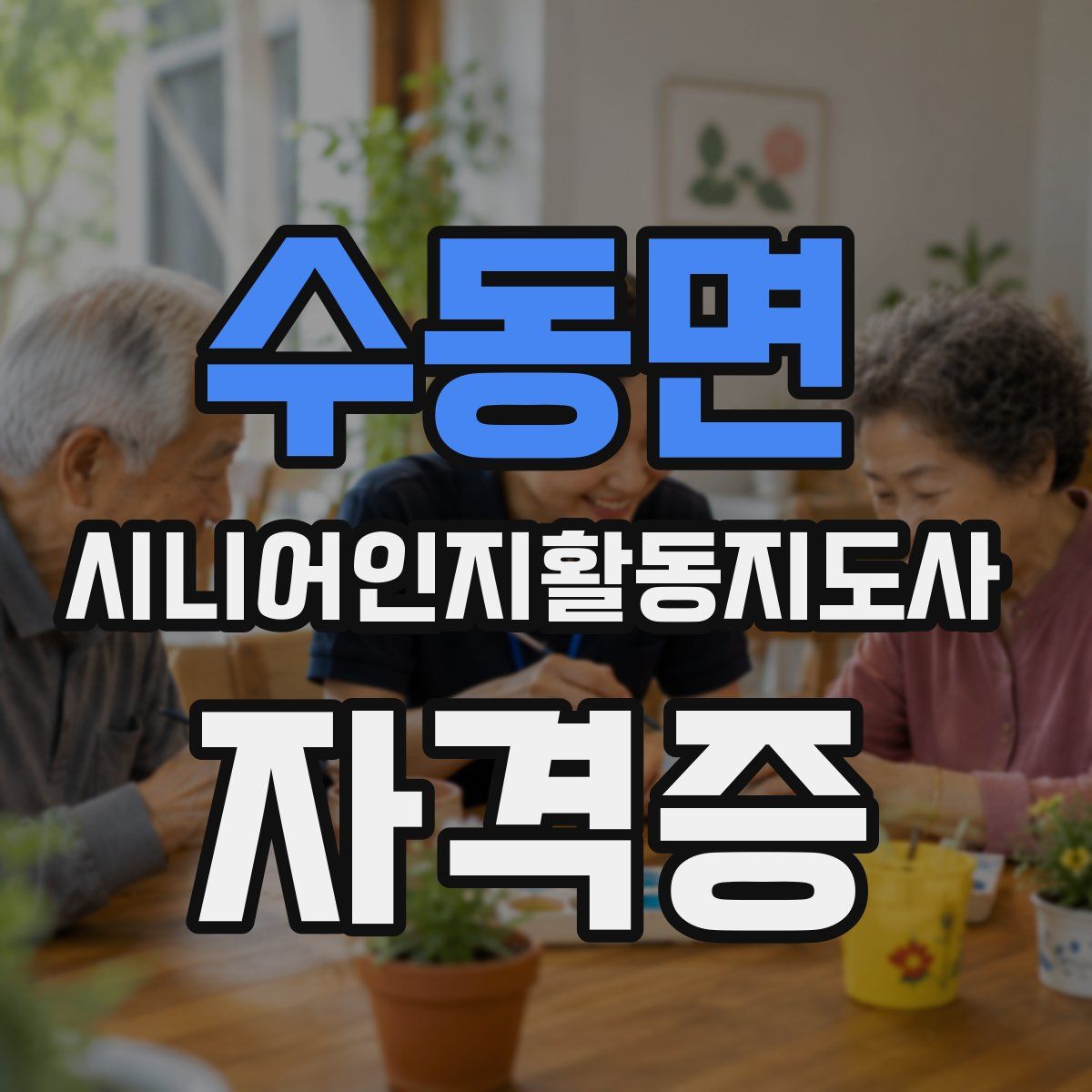 수동면 시니어인지활동지도사 자격증