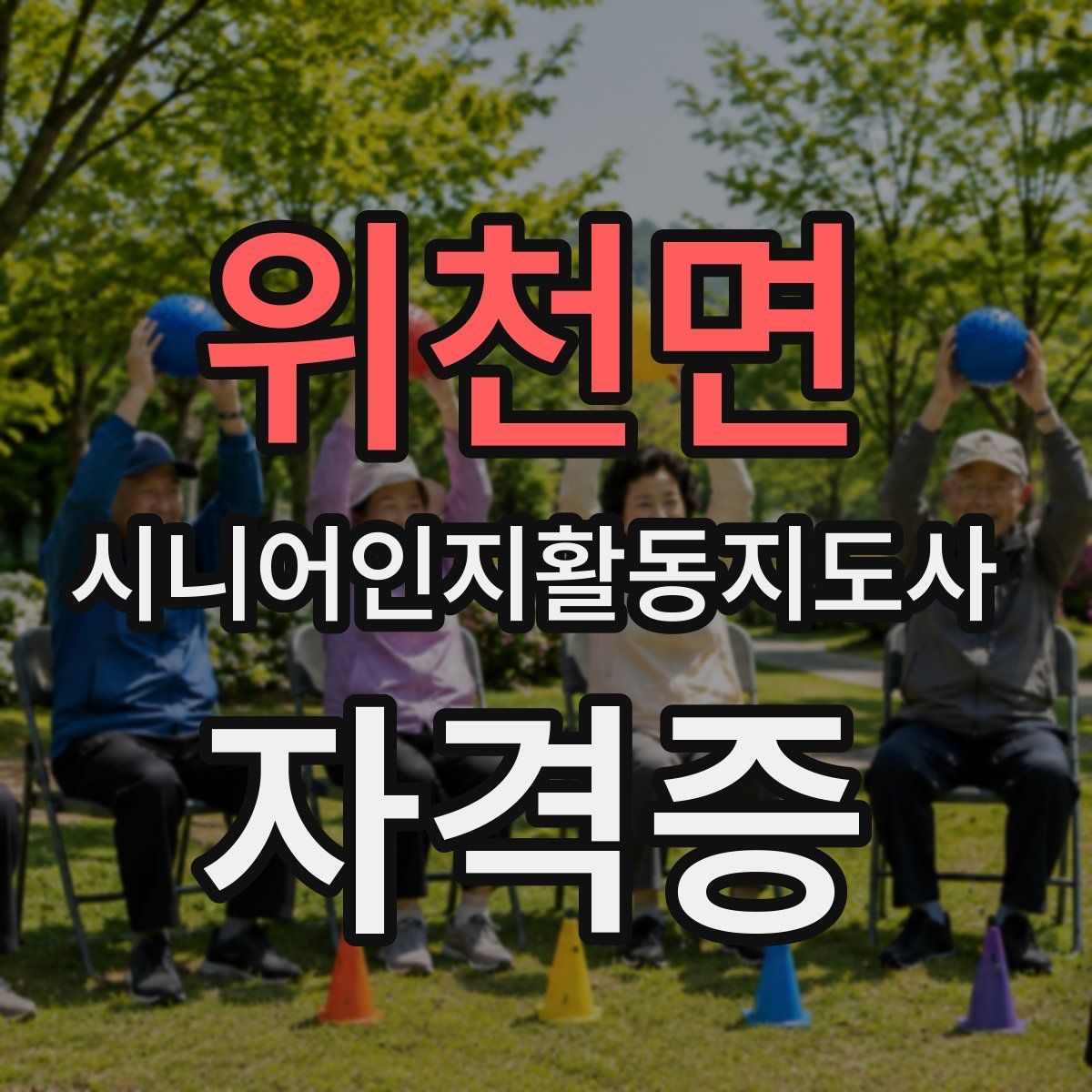 위천면 시니어인지활동지도사 자격증