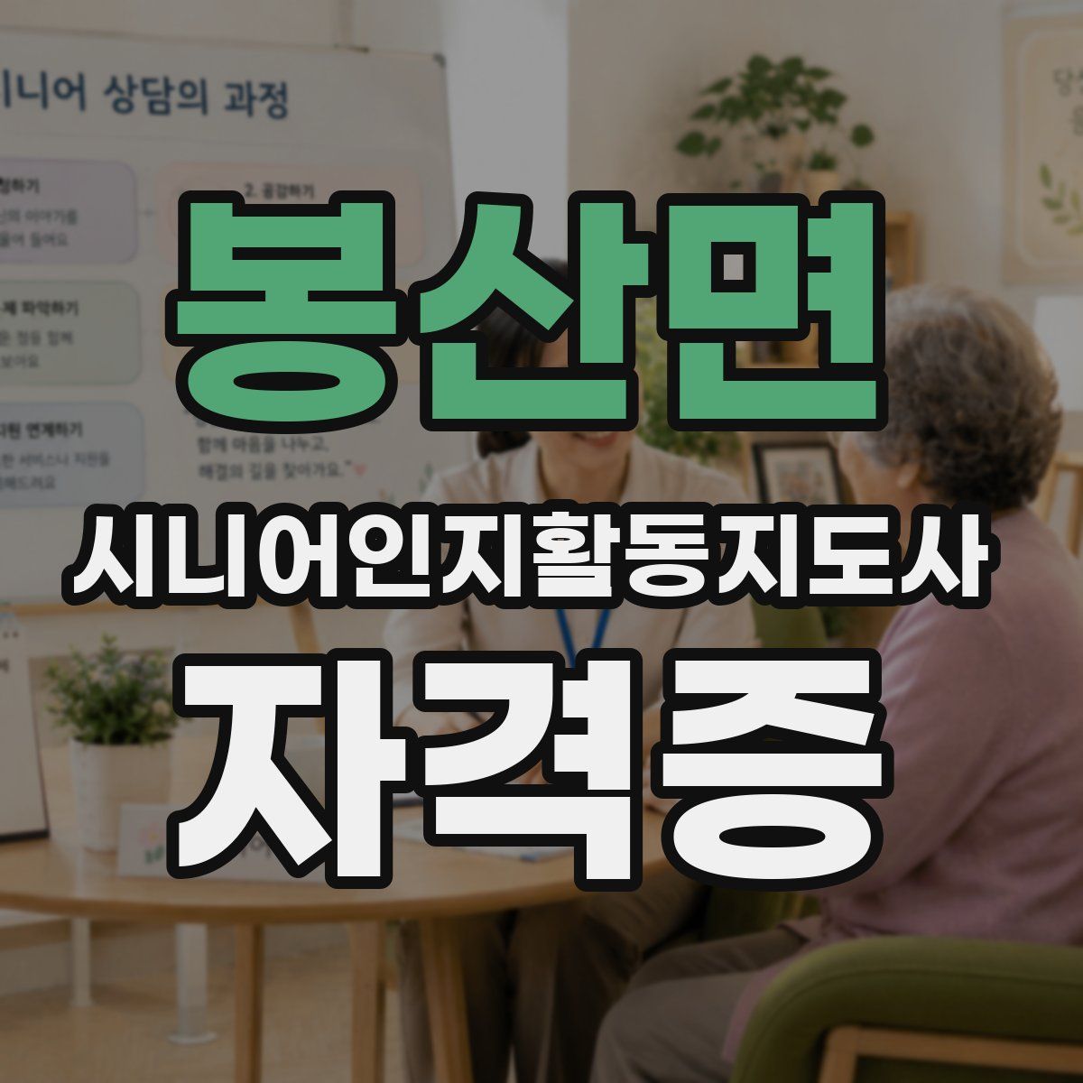 봉산면 시니어인지활동지도사 자격증