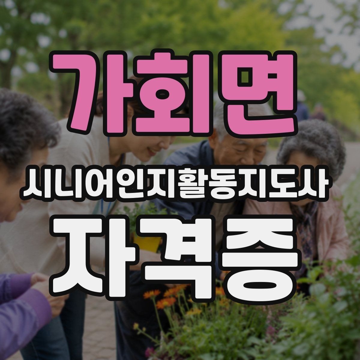 가회면 시니어인지활동지도사 자격증 준비 시 자주 하는 실수